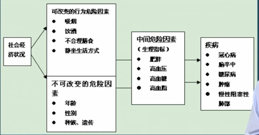 常见慢性病及其共同危险因素之间的内在关系