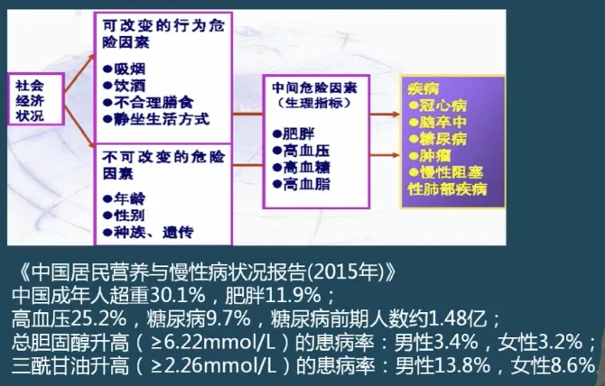 常见慢性病与危险因素的内在关系